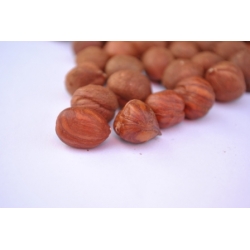 Orzechy Laskowe 100 G